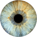 Lise Averseng profile picture